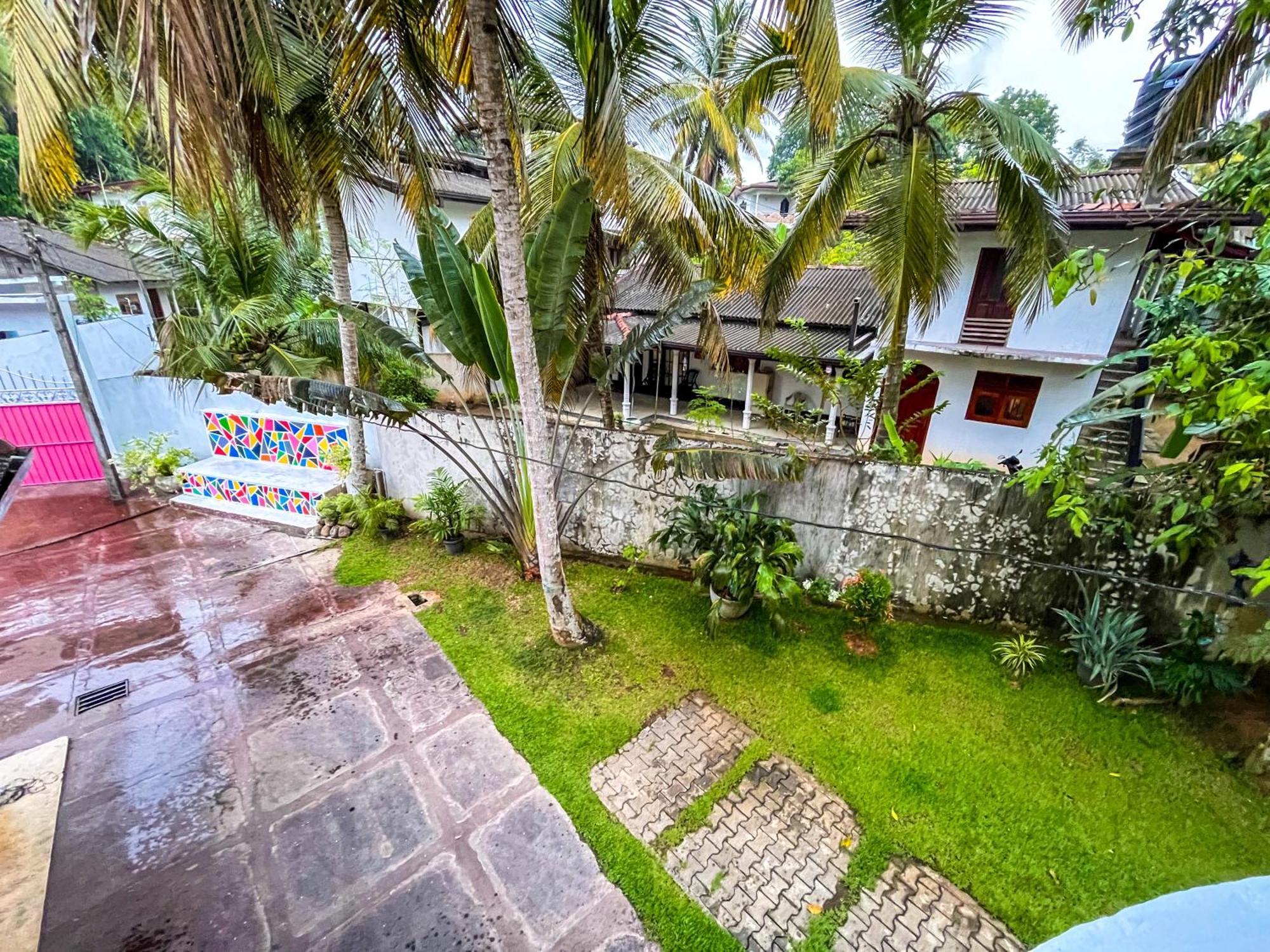 Galle Camellia Buitenkant foto