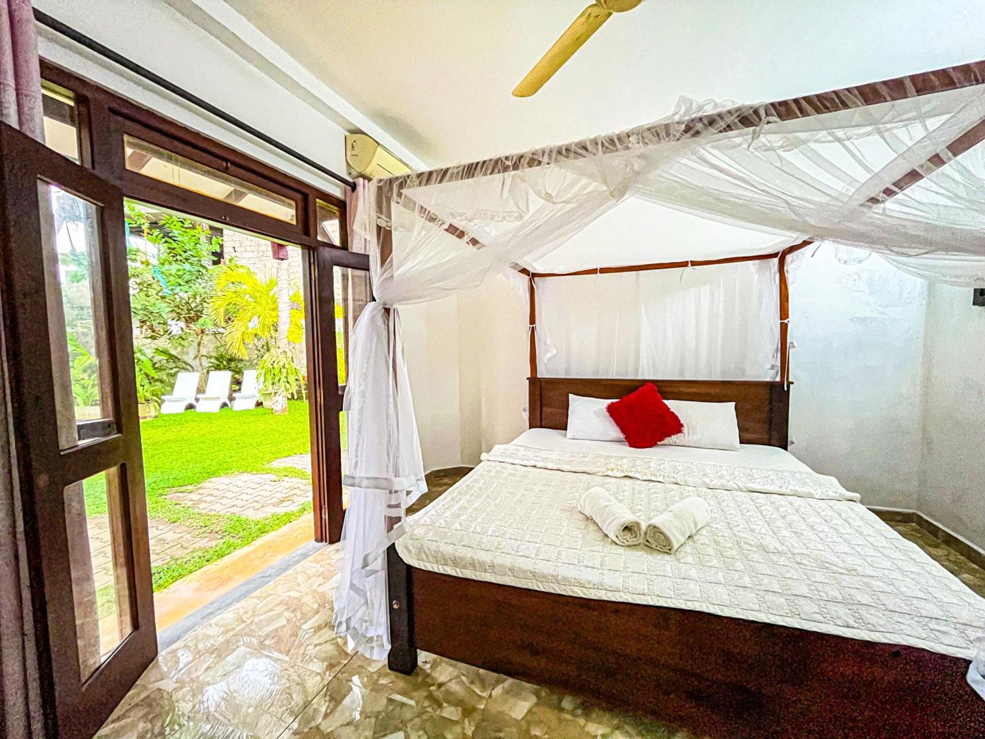 Galle Camellia Buitenkant foto
