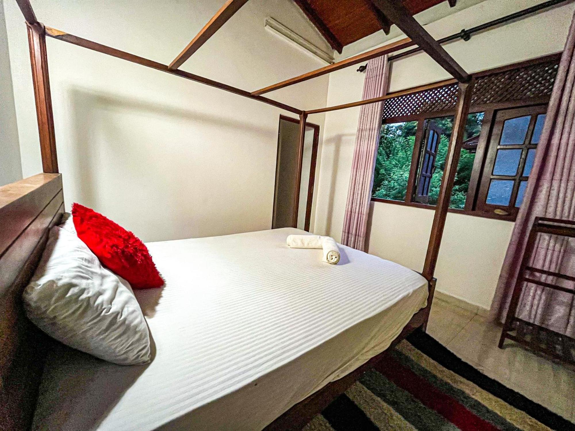 Galle Camellia Kamer foto