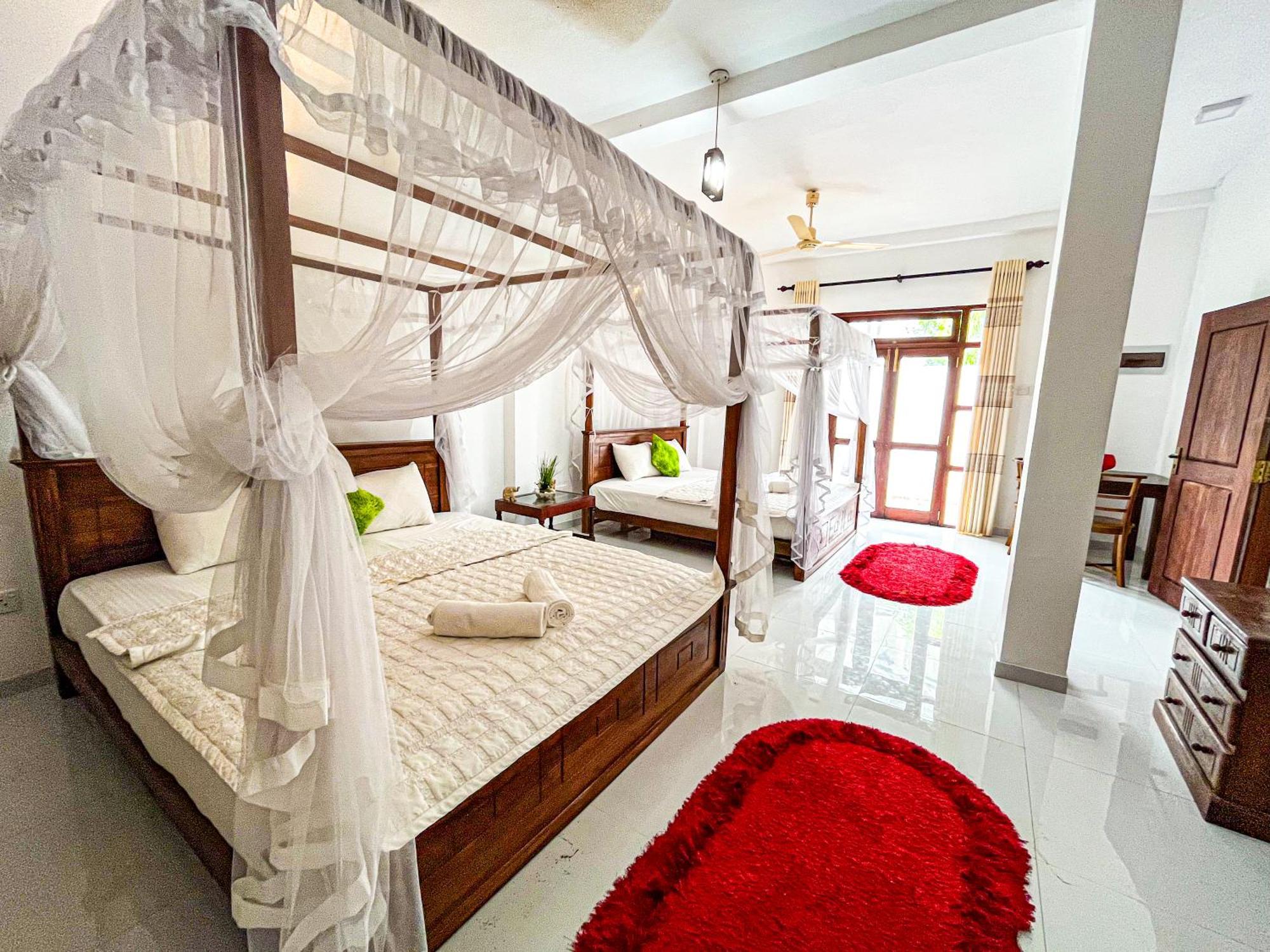 Galle Camellia Buitenkant foto