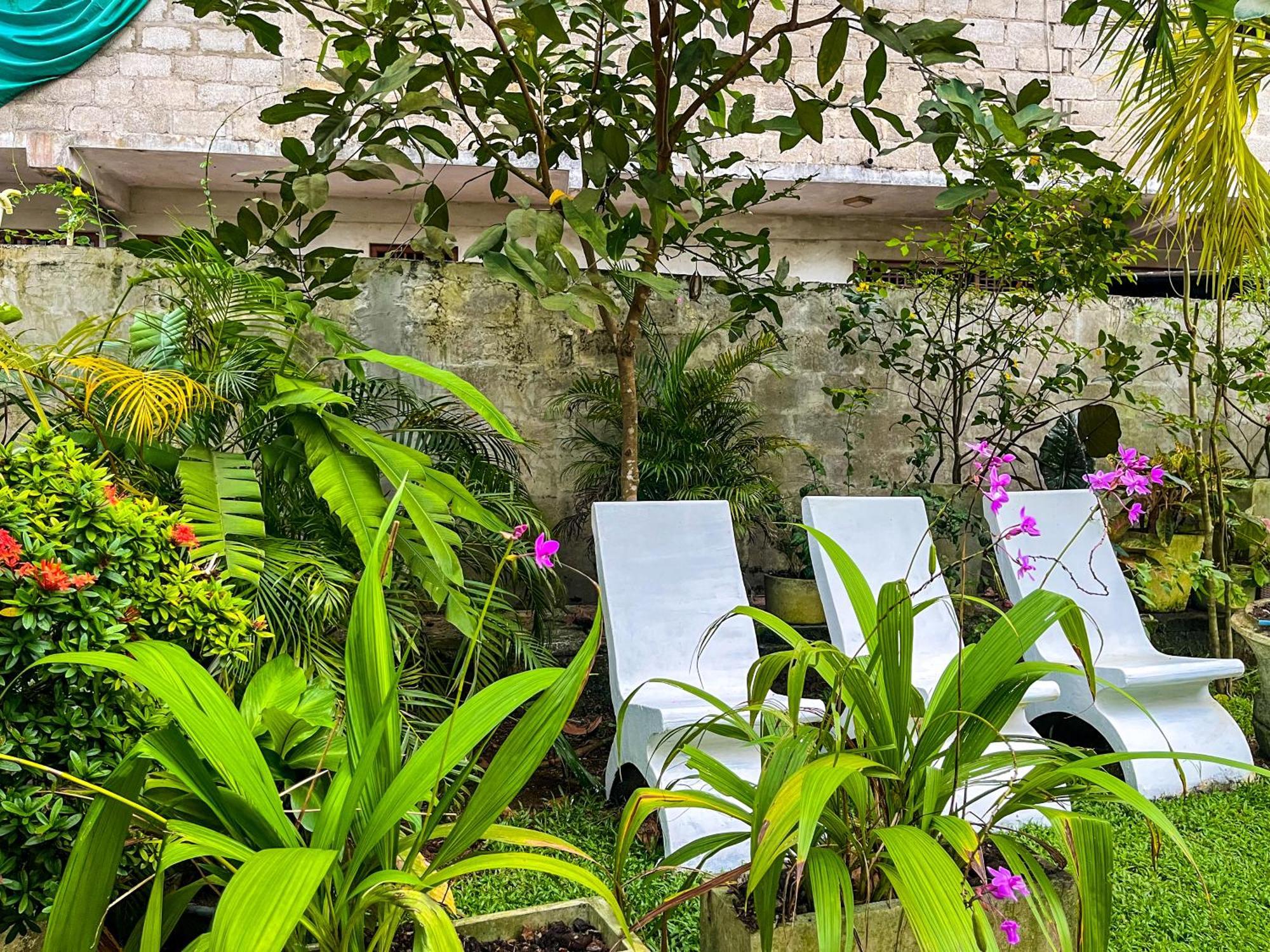 Galle Camellia Buitenkant foto
