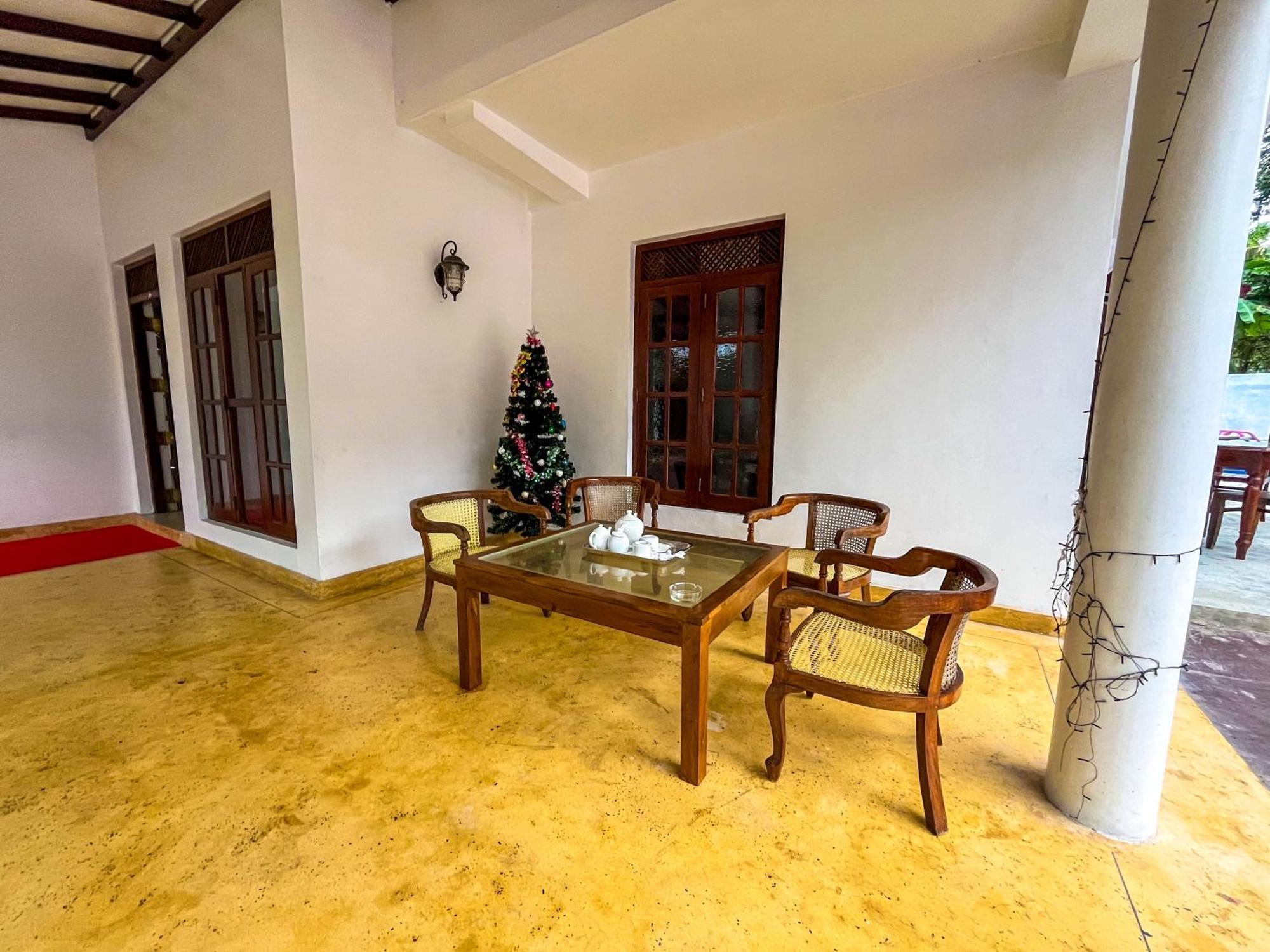 Galle Camellia Buitenkant foto