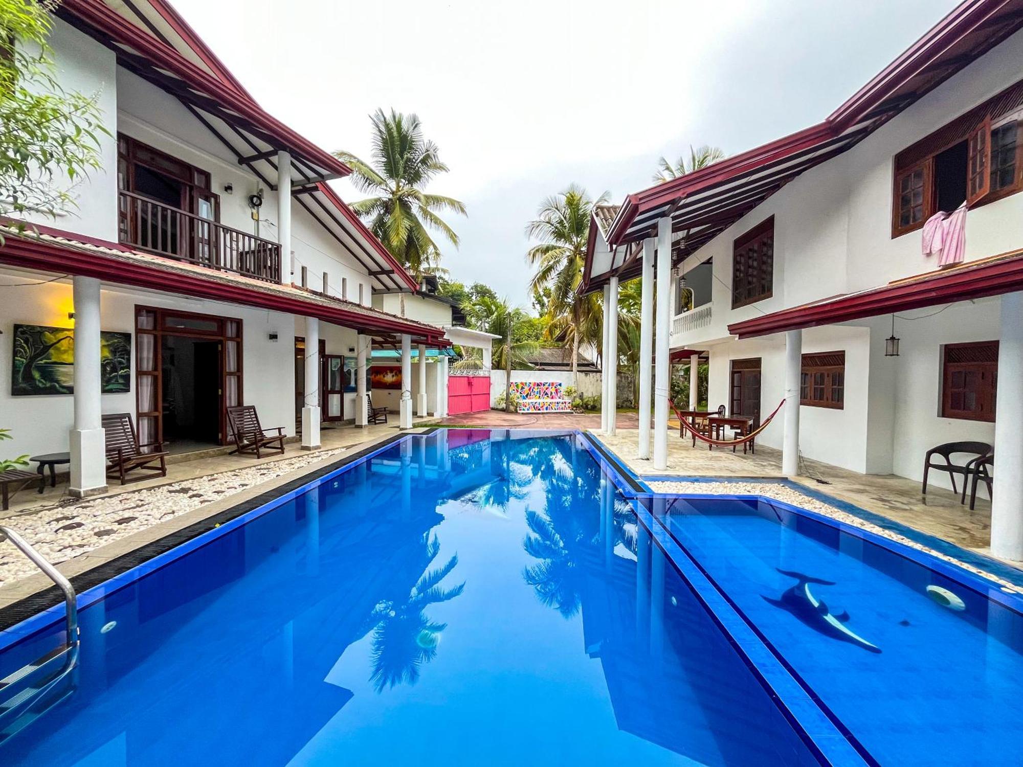 Galle Camellia Buitenkant foto