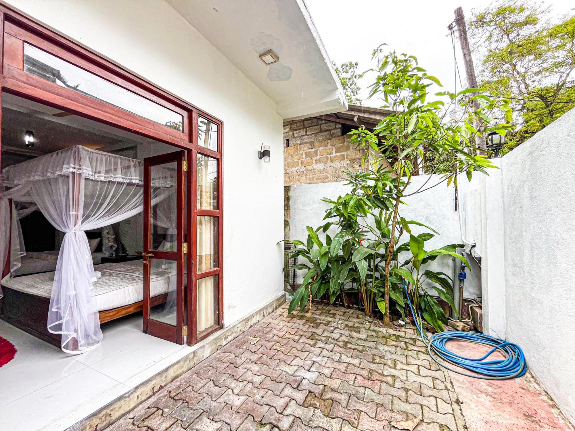 Galle Camellia Buitenkant foto