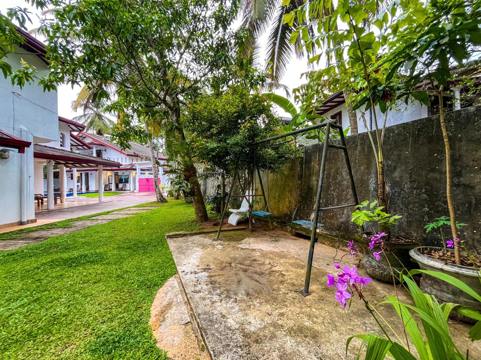 Galle Camellia Buitenkant foto